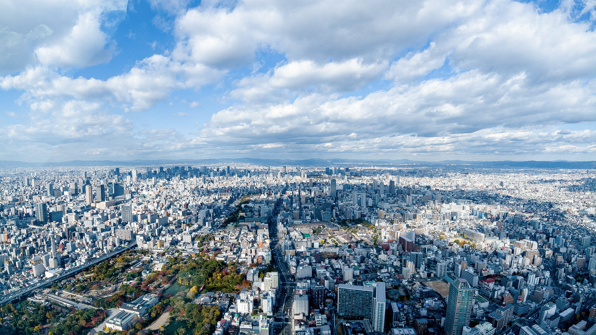 企業概要